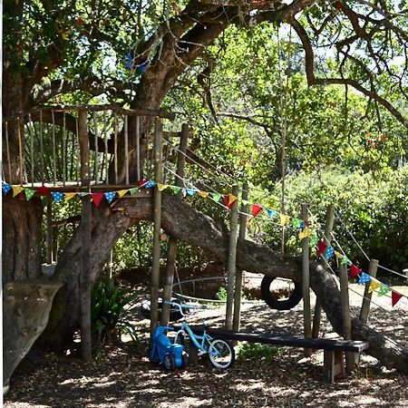 Shepherd'S Tree Backpackers クニスナ エクステリア 写真
