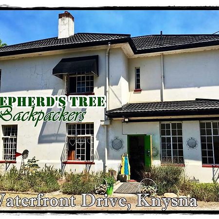 Shepherd'S Tree Backpackers クニスナ エクステリア 写真
