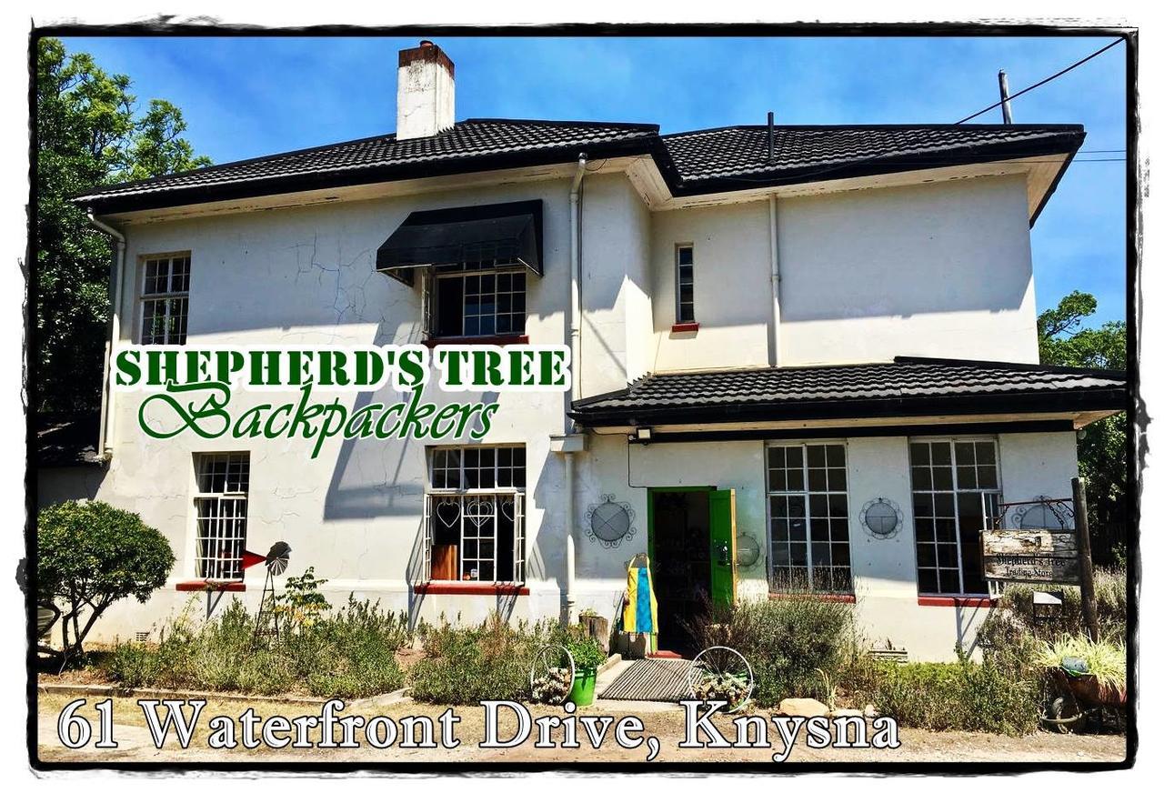 Shepherd'S Tree Backpackers クニスナ エクステリア 写真